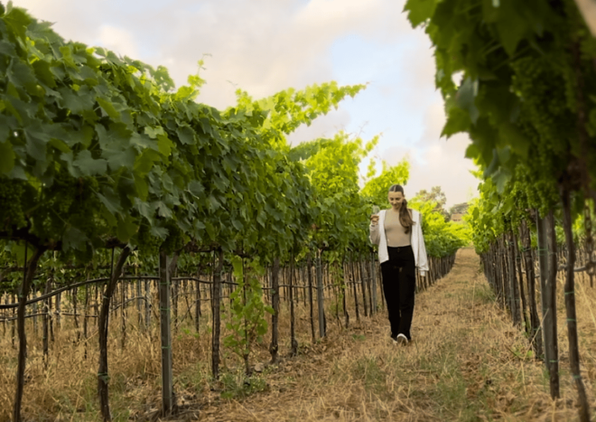 Tropea: Wine and Food Tasting - Transportation Options