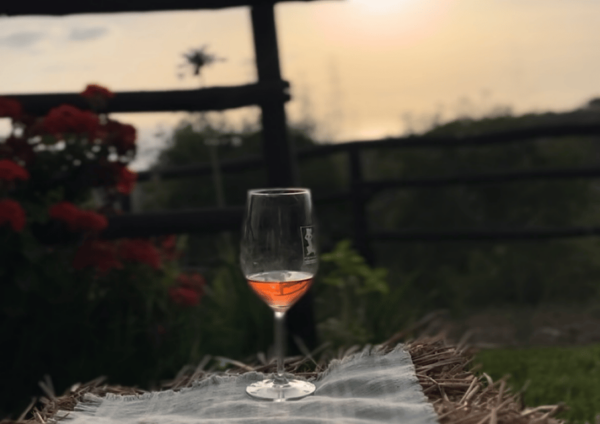 Tropea: Wine and Food Tasting - Accessibility Considerations