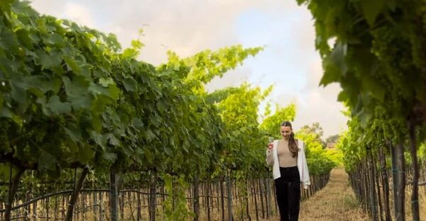 Tropea: Wine and Food Tasting - Frequently Asked Questions