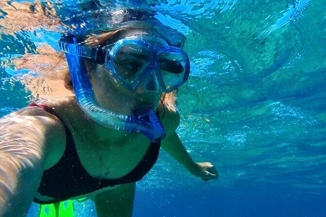 Tropical Dunk Island Half Day Activity from Mission Beach - Exploring Dunk Island: What to Expect