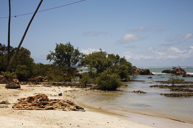 Tropical Escape: Salvador to Morro Adventure - Booking Details for the Adventure