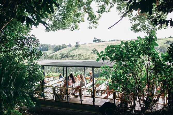 Tropical Fruit World Farm Full Tour - The Full Tour Breakdown: What to Expect