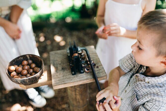 Tropical Fruit World Farm Full Tour - Who Would Love This Experience?