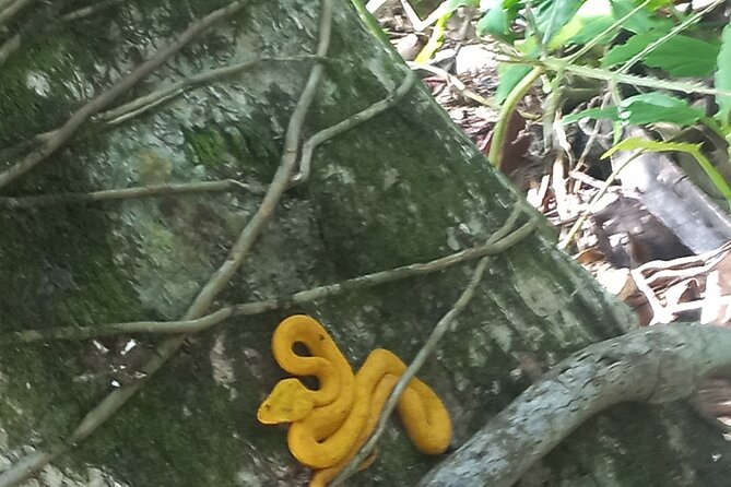 Tropical Hike in the Gandoca-Manzanillo Wild Life Refuge - Experience Details