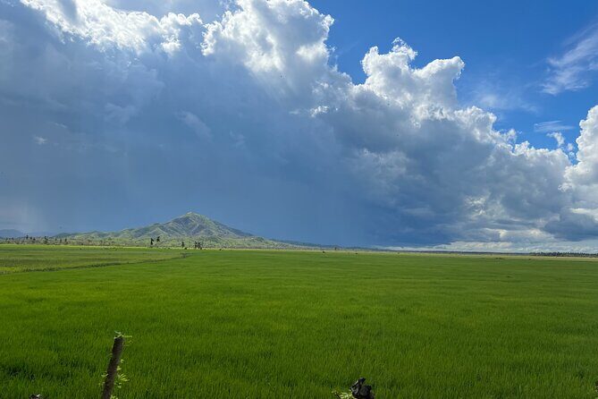 Tropical Quads (2 PERSONS PER QUADS ) - The Itinerary in Detail: What to Expect