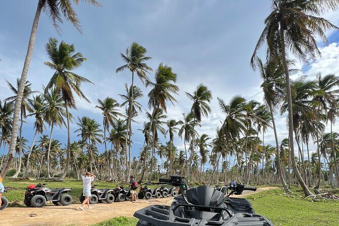 Tropical Quads (2 PERSONS PER QUADS ) - The Experience: What Makes It Special