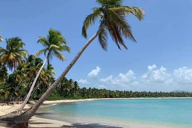 Tropical Quads (2 PERSONS PER QUADS ) - Final Thoughts: Is It Worth It?