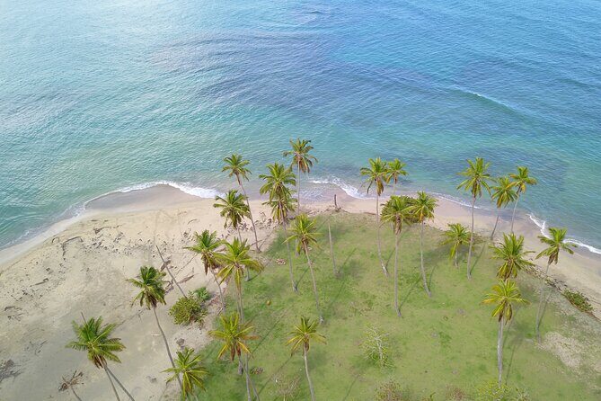 Tropical Quads (2 PERSONS PER QUADS ) - FAQs