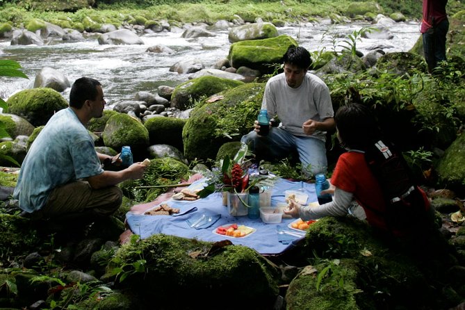 Tropical Rainforest Trek: Aerial Gondola Expedition - Tour Overview and Inclusions