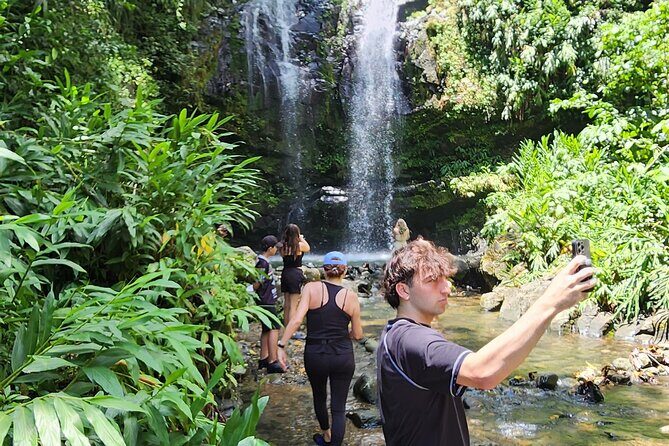 Tropical Rainforest Wonders Full Day Experience from San Juan - Summing Up: Who Will Love This Tour?