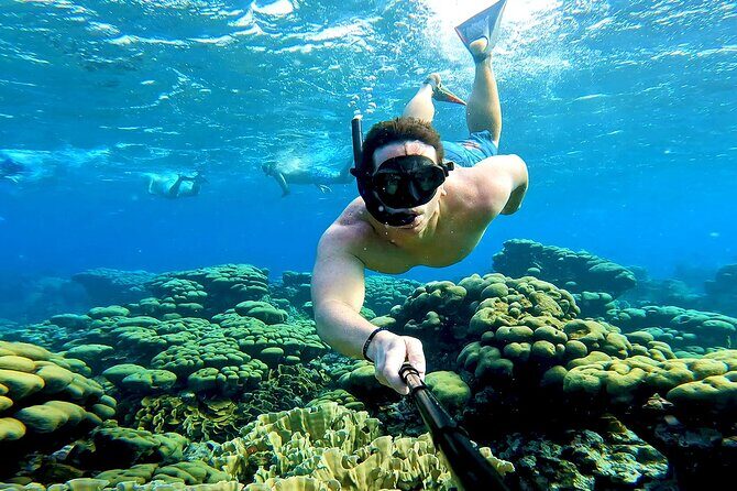 Tropical Sailing Experience with BBQ Lunch or BBQ Dinner in Aruba - Introduction: A Genuine Aruba Adventure