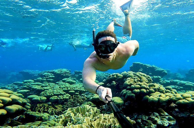 Tropical Sailing Experience with BBQ Lunch or BBQ Dinner in Aruba - The Crew & Guides: Why They Make the Difference