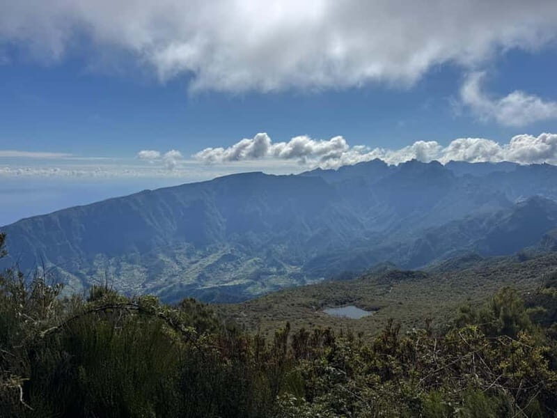 Tropical Tide, Porto Moniz & Fanal Forest 4WD Jeep Tour - Lunch in Porto Moniz: A Taste of Local Flavors