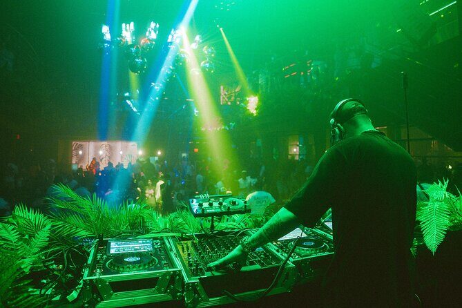 Tropicalia Disco  Party Night  Nightclub - Good To Know