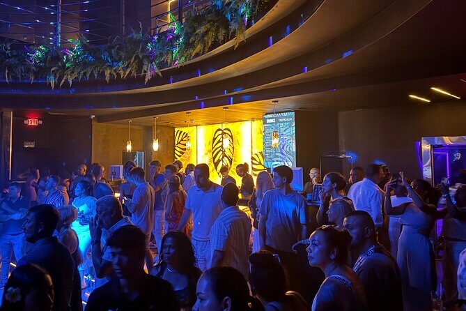 Tropicalia Disco  Party Night  Nightclub - An In-Depth Look at Tropicalia Disco