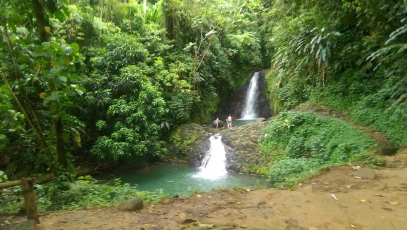 "Tropically Yours" Waterfall Nature Hike. - Authentic Experiences and Real Visitor Insights