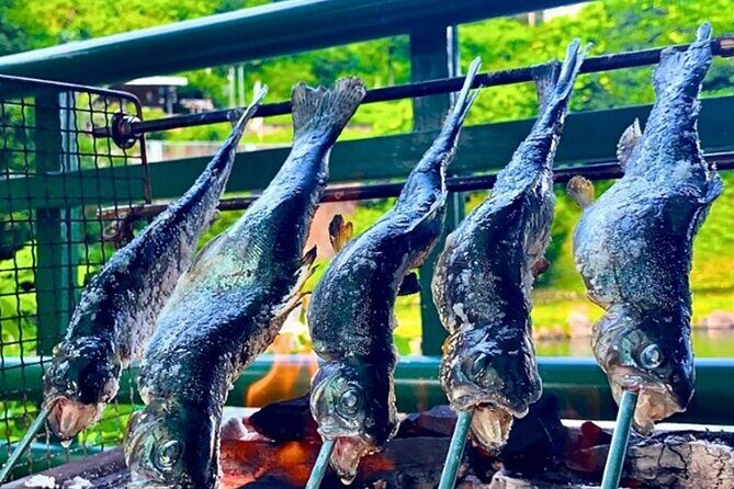 Trout Fishing Adventure Near Tokyo - A Scenic Escape Just Outside Tokyo