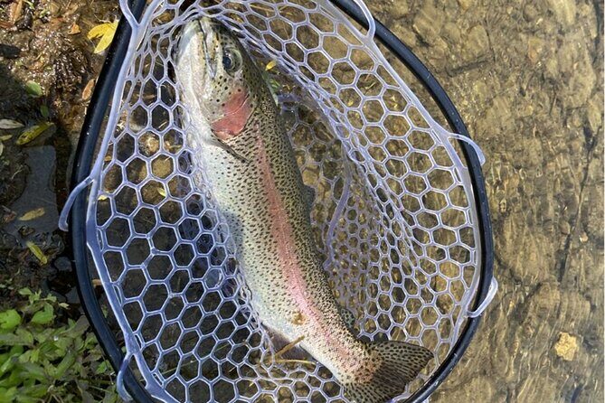 Trout Fishing Adventure Near Tokyo - Good To Know