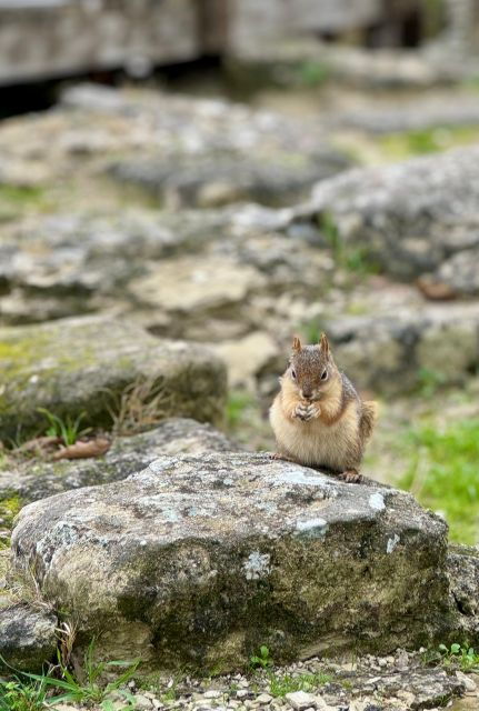 Troy: Full-Day Tour From Istanbul - Tour Details