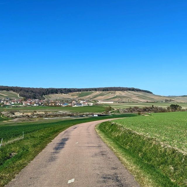 Troyes: Exploring Biodiversity Through Jewish Traditions - Natures Role in Jewish Traditions