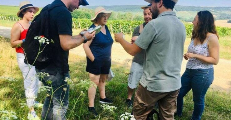 Troyes: Guided Vineyard Hike & Champagne Tasting Experience - Good To Know