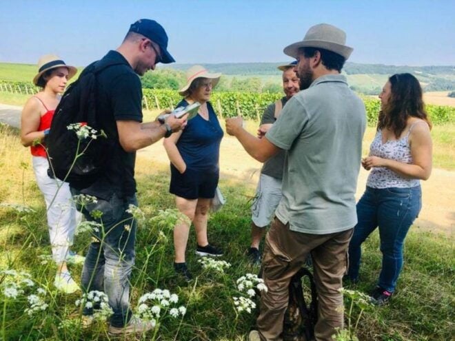 Troyes: Guided Vineyard Hike & Champagne Tasting Experience - Live Tour Guide