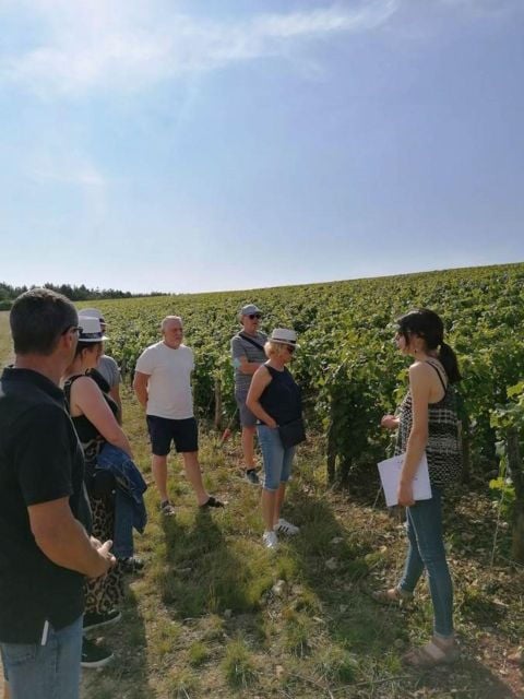 Troyes: Guided Vineyard Hike & Champagne Tasting Experience - The Sum Up