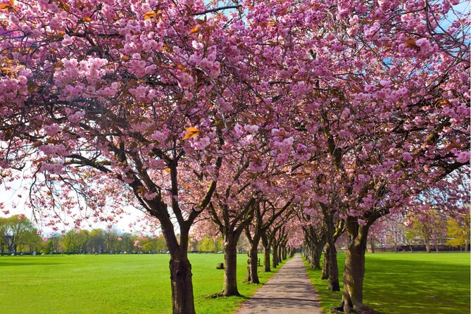 True Love Outdoor Escape Game in Romantic Edinburgh - Meeting and Pickup