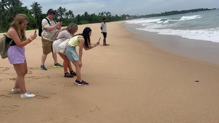 True Sri Lankan Culture Experience All Inclusive - Itinerary Highlights