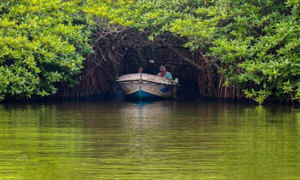 True Sri Lankan Culture Experience All Inclusive - Travel Tips and Recommendations
