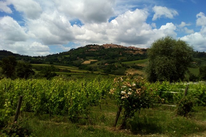 Truffle and Brunello Sommelier Vip Experience in Tuscany Lands From Florence - Terms of Service