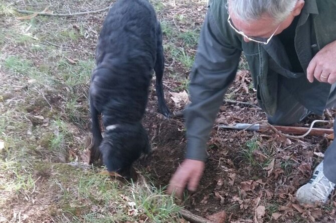 Truffle and Brunello Sommelier Vip Experience in Tuscany Lands From Florence - Directions and Recommendations