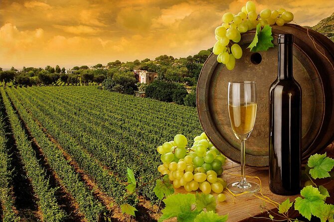 Truffle and Wine Sommelier Vip Experience in Tuscany From Florence - Pickup Information
