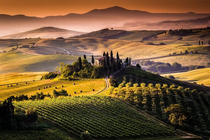 Truffle and Wine Sommelier Vip Experience in Tuscany From Florence - Price & Booking