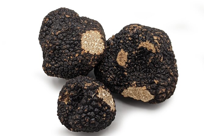 Truffle Cavage Demonstration - Overview and Logistics