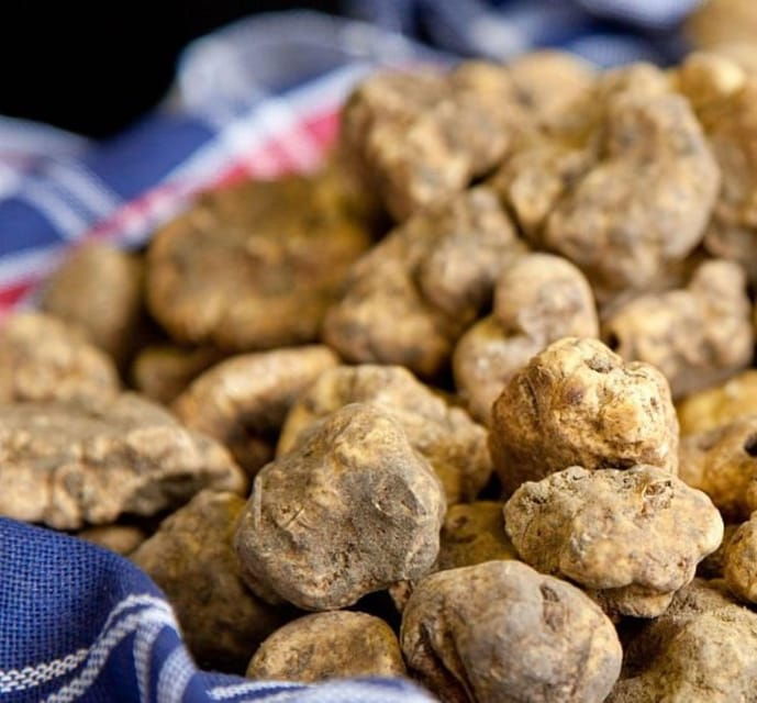 Truffle experience from Naples and Salerno - Good To Know