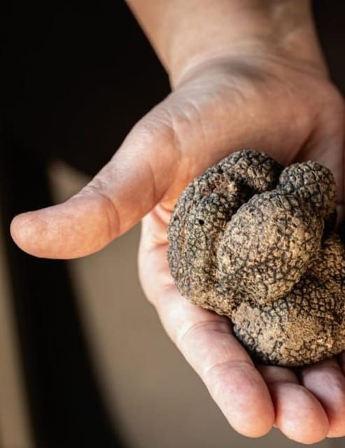 Truffle experience from Naples and Salerno - Who Should Consider This Tour?