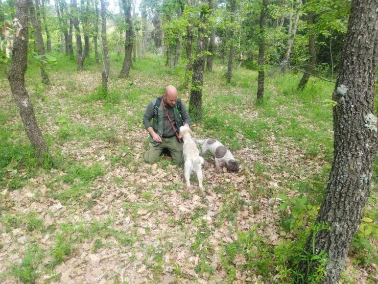 Truffle Experience - Good To Know