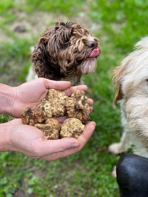 Truffle Experience - Booking and Cancellation Policy