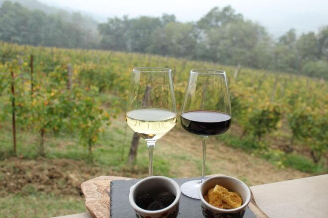 Truffle Experience & Wine Brunch in the Cellar - Highlights