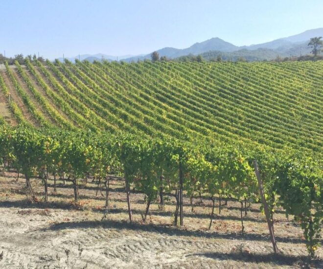 Truffle Experience & Wine Brunch in the Cellar - Directions