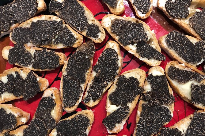 Truffle Farm Visit and Cavage With a Dog in All Seasons - Overview and Whats Included