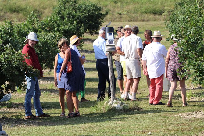 Truffle Farm Visit and Cavage With a Dog in All Seasons - Total Review Count and Overall Rating