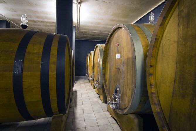 Truffle Hunt and Barolo Wine Tasting - Tour Inclusions