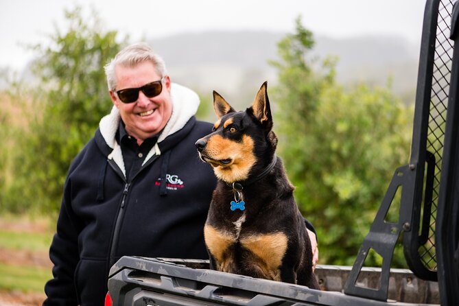 Truffle Hunt and Taste Experience in Oberon, NSW Australia - Meeting and Pickup Instructions