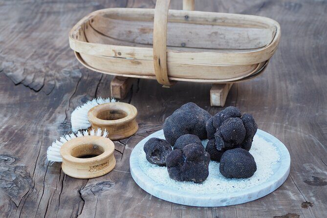 Truffle Hunt and Truffle Pizza Experience in Red Hill - The Sum Up