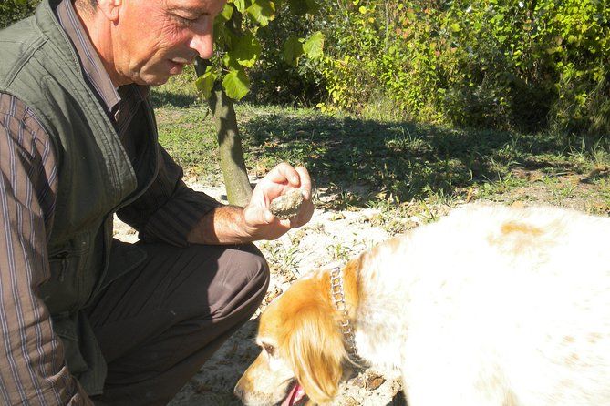 Truffle Hunt & Barolo Wine Tasting - Additional Information