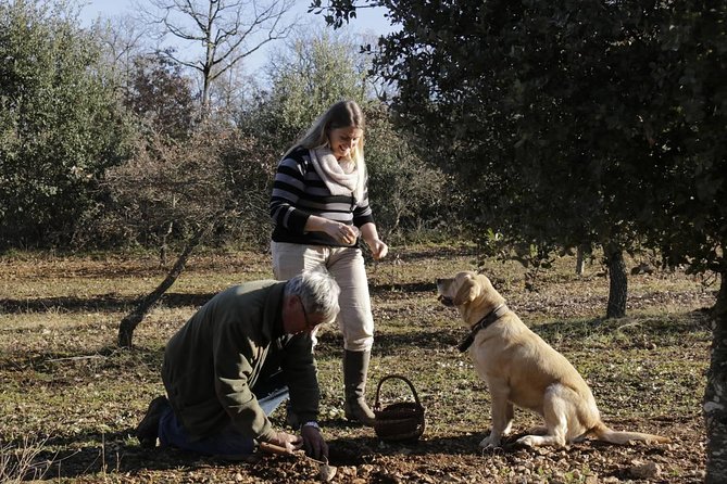 Truffle Hunt & Barolo Wine Tasting - Reviews