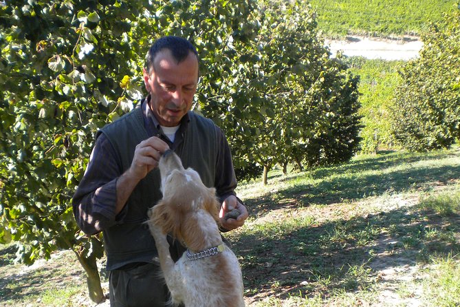 Truffle Hunt & Barolo Wine Tasting - Testimonials