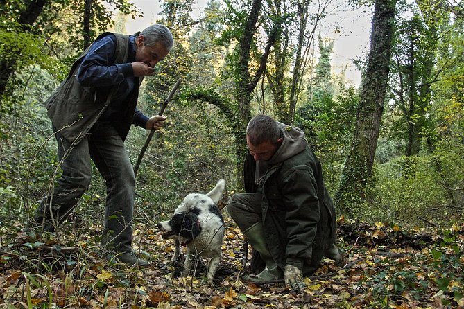 Truffle Hunt & Barolo Wine Tasting - Booking Information